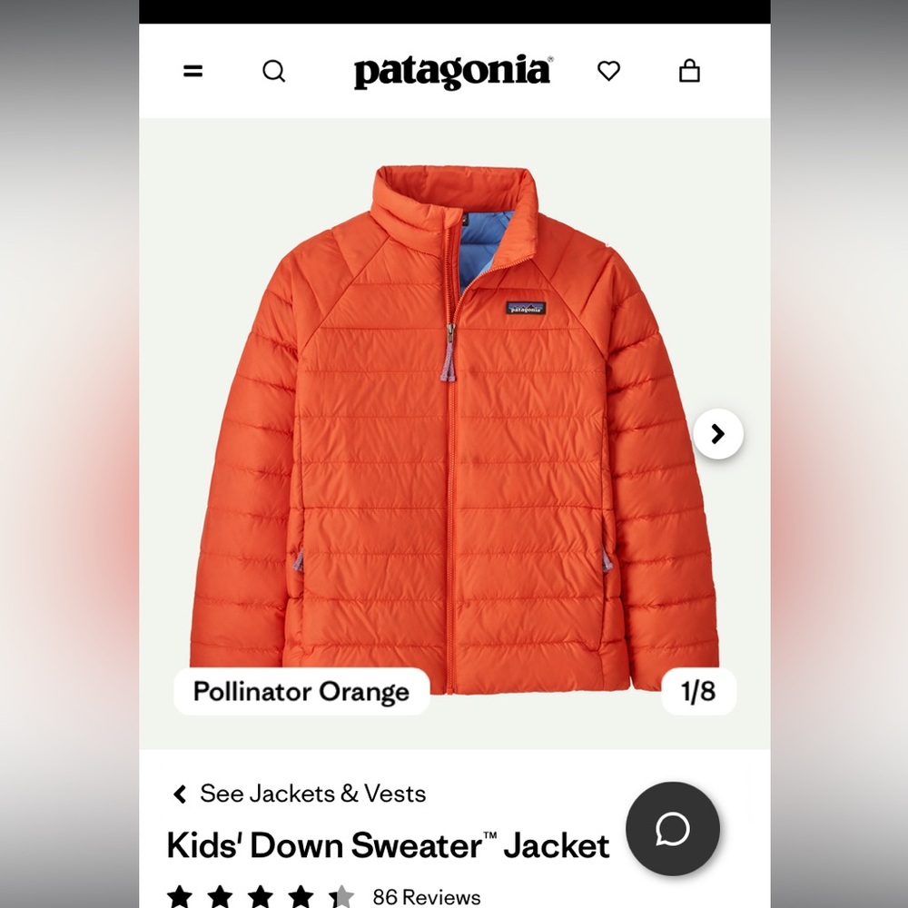 Patagonia sweater jacket